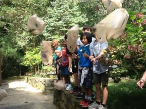 Parachutes HFD 101314